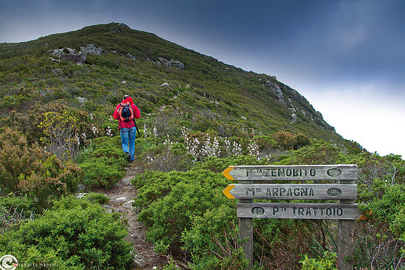 Bivio per il Monte Arpagna