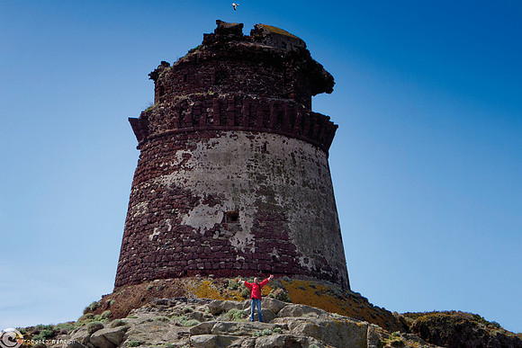 L'imponenza della Torre