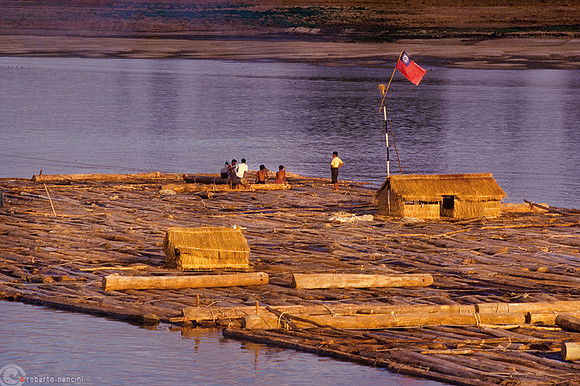 Trasporto del legname lungo il fiume sino al mare