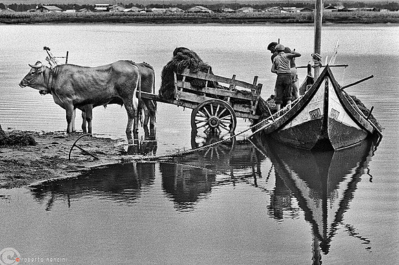 Rio de Aveiro - Carico prezioso