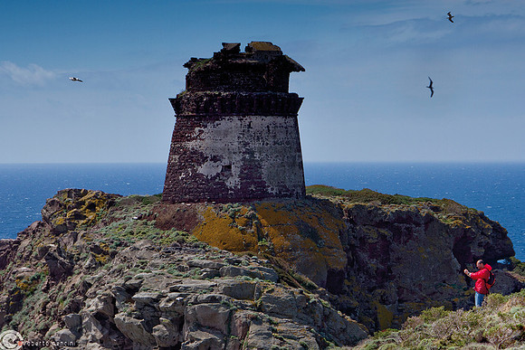 La torre dello Zenobito