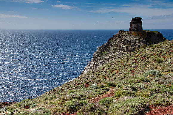 Cromie da favola sull'Isola di Capraia