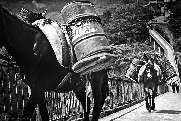 Civita di Bagnoregio - Fiat Donkey