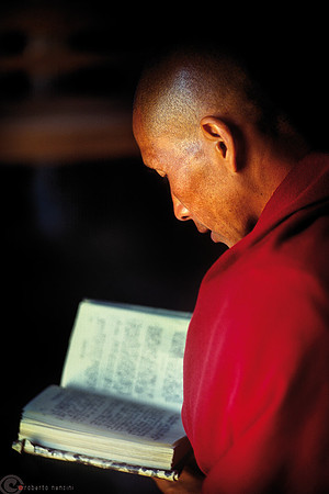 Monastero - Il maestro studia i testi sacri