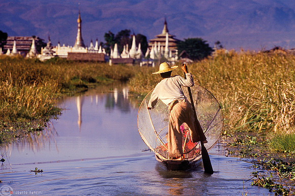 Lago Inle - Canali tra la vegetazione