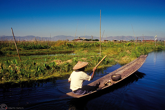 Lago Inle - Barca tra canali e coltivazioni