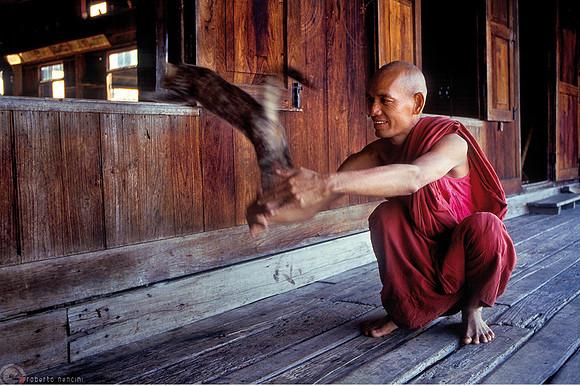 Monastero Nga Phe Kyaung - Dove i gatti volano...