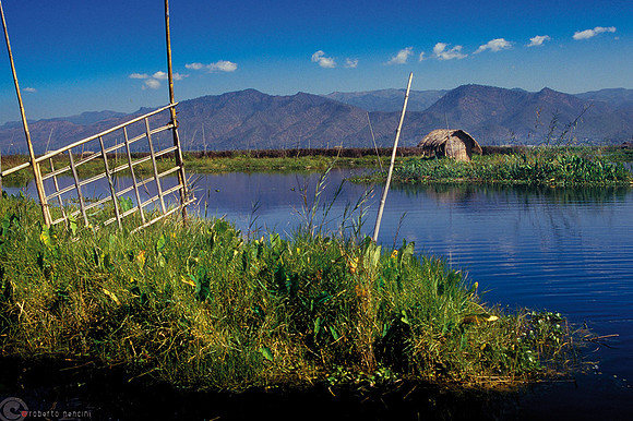 Lago Inle - Coltivazioni