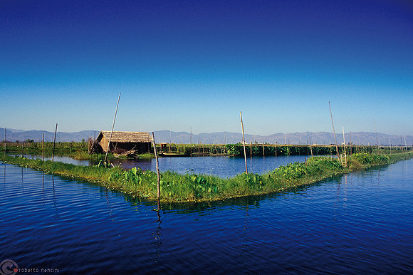 Lago Inle - Coltivazioni galleggianti