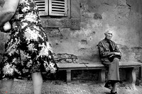Bibbona - Fuori da qui