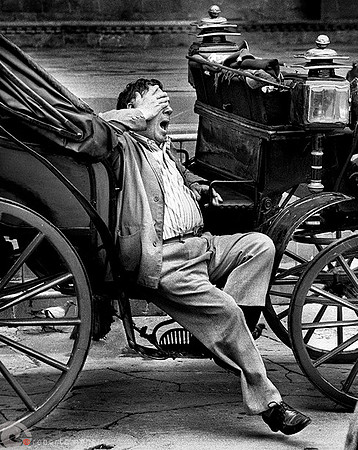 Firenze - La Bella Addormentata