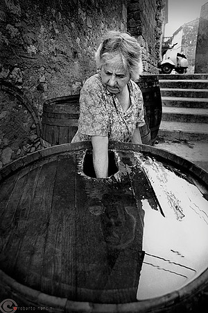 Bibbona - Acqua & Vino