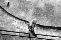 Montescudaio - Percorsi quotidiani