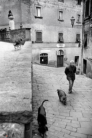 Castagneto Carducci - Viaggiatori comuni
