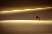 Algeria - viaggio nel silenzio