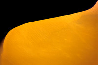 The colors of Desert
