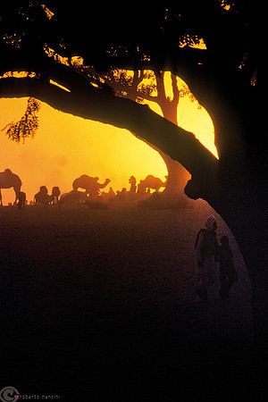 Luci del tramonto