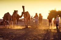 India - Pushkar Fair