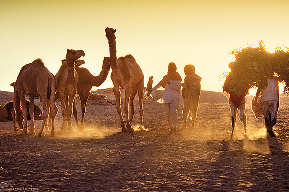 Polvere del deserto