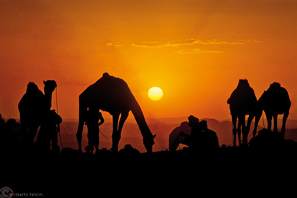 Silhouettes in the sun