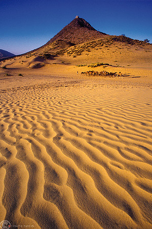 Ai confini del deserto