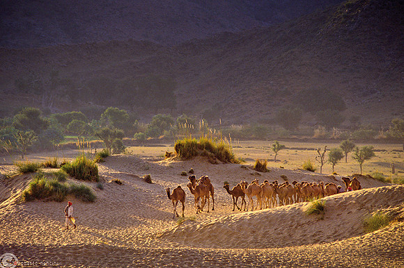 Carovana tra le dune