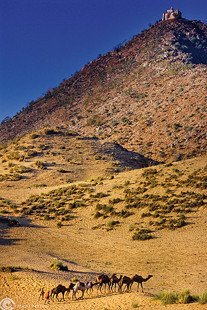 La prima carovana