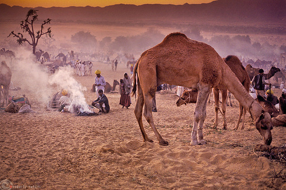 Pushkar Fair