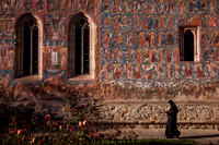 Bucovina