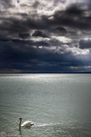 Temporale in arrivo