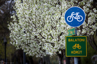 Balatoni korùt