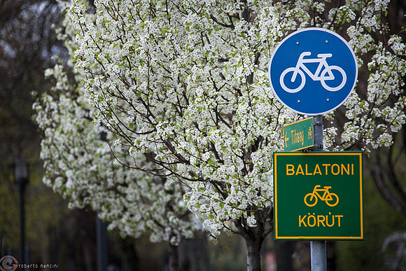 Balatoni korùt