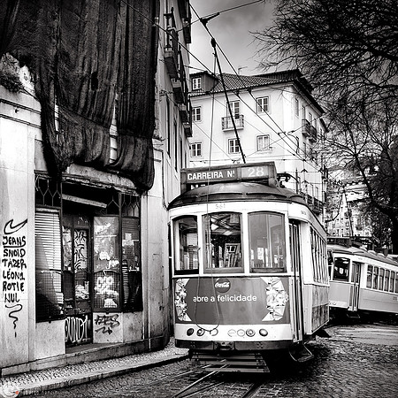Carreira 28