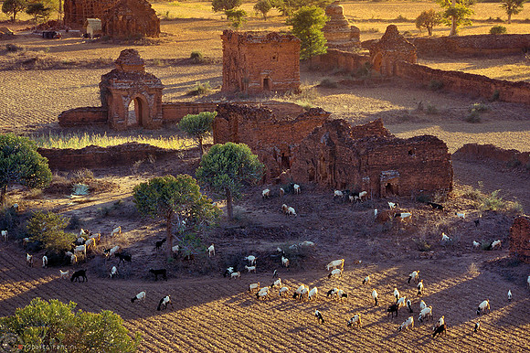 Bagan - Antiche rovine