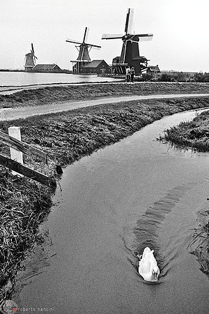 Navigare in Olanda