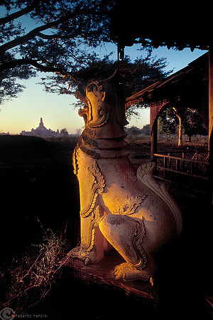 Bagan - Un enorme scultura di leogrifo veglia sul tempio